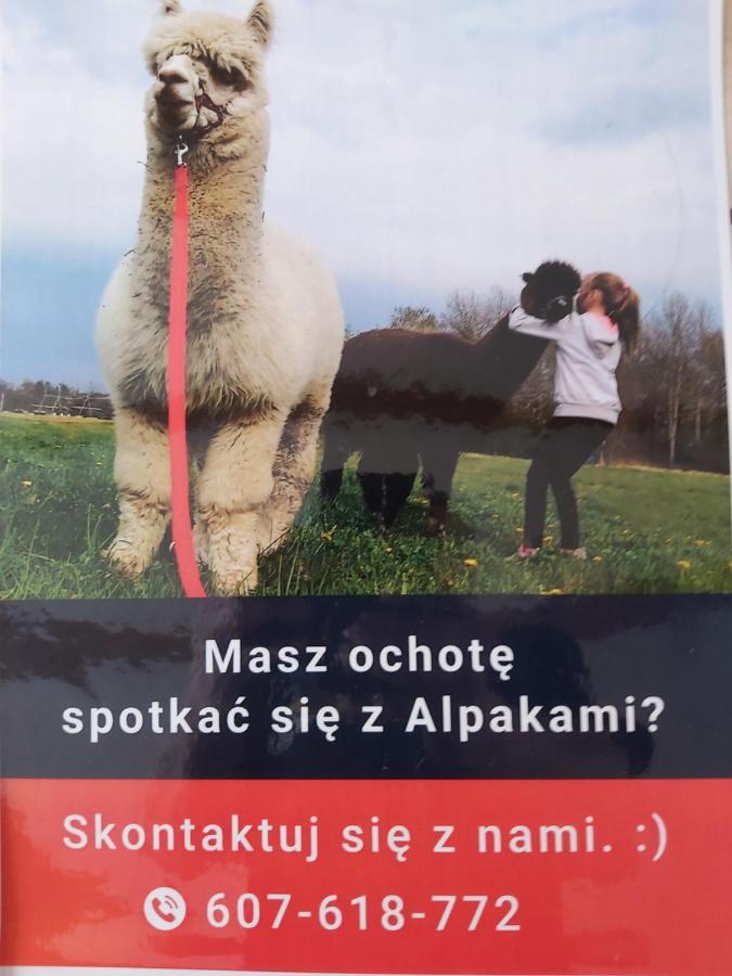 Apartamenty Smaczek Gołdap エクステリア 写真